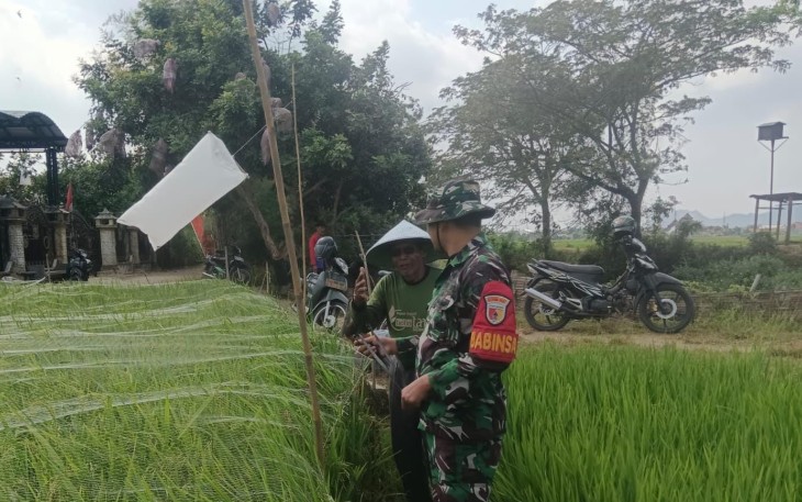 Pendampingan petani desa binaan