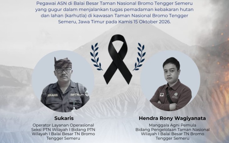 BKN Berikan Penghargaan Setinggi-tingginya bagi Dua ASN yang Gugur dalam Pemadaman Karhutla Bromo