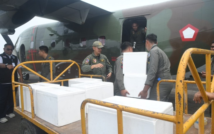 Dry Ice dari Udara, TNI Upayakan Mengurai Asap Karhutla di Palembang