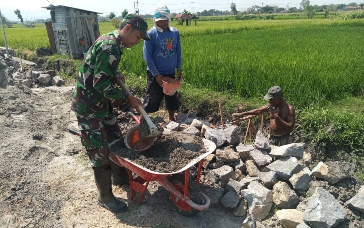 Babinsa dan Warga Rejosari Bangun Drainase Demi Sawah Lebih Produktif