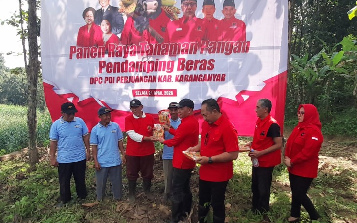 Ketua DPRD Jawa Tengah, Sumanto, menghadiri kegiatan panen raya tanaman pangan pengganti beras yang digelar DPC PDI Perjuangan, di area persawahan Desa Koripan, Kecamatan Matesih, Selasa (21/4/2026) siang.