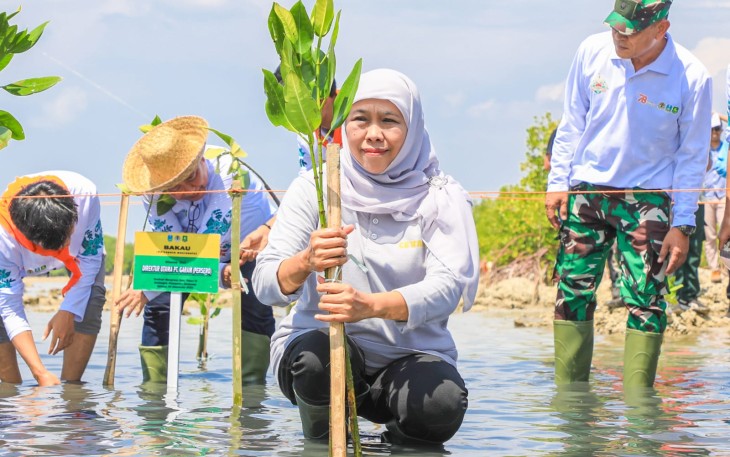 Gubernur Jatim saat Menanam Mangrove