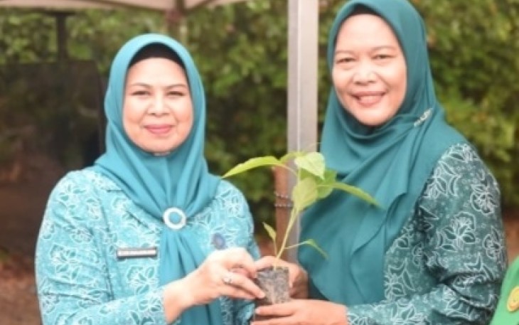 Penyerahan dilaksankan secara simbolis oleh Ketua Tim Penggerak PKK Provinsi Kepri, Dewi Kumalasari Ansar kepada perwakilan masyarakat di UPTD Balai Perbenihan, Pengawasan dan Sertifikasi serta Perlindungan Tanaman Pangan, Hortikultura dan Perkebunan DKP2KH Provinsi Kepri, Tembeling Toapaya, Kabupaten Bintan.