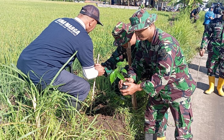 Kodim Ponorogo Lakukan Tanam Anakan Bibit Pohon