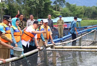 Wagub memberikan pakan ikan nila