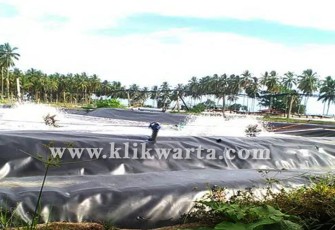 Tambak Udang di Wilayah Pesisir Kabupaten Kaur
