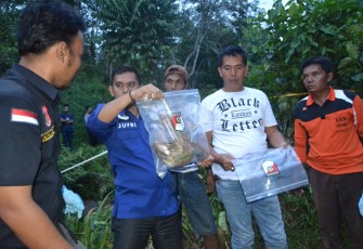 Polisi saat olah TKP penemuan kerangka manusia di Desa Tanah Hitam, Kecamatan Padang Jaya, Kabupaten Bengkulu Utara
