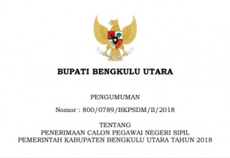 CPNS