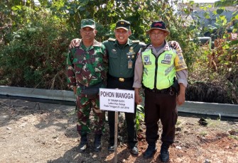 Letkol Kav Suteja,SH salah satu Tim Wasev TMMD Reg ke 105 Tanam Pohon Mangga