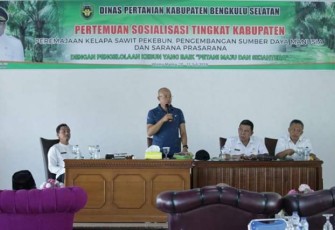 Bupati Bengkulu Selatan Gusnan Mulyadi 