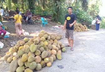 Lokasi jualan durian di Kedurang
