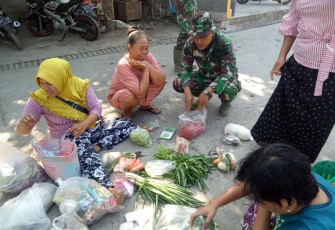Disarankan Tanam Cabai di Poliback