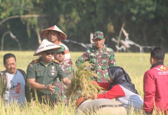 Plh Danramil 21/Trangkil panen bareng warga