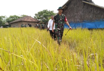 Dandim Tigaraksa lakukan blusukan cek hasil kerja TMMD Kronjo