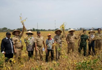 Farmer Field Day Petani