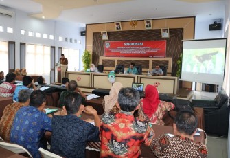 Sekretaris Daerah Kabupaten Seluma Irihadi 