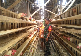  Sertu Edi Suranto laksanakan Komsos Dengan Menyambangi Peternak Ayam Arab Petelur