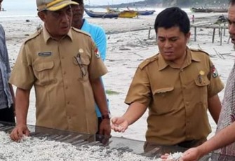 Kepala Dinas Kelautan Perikanan Kabupaten Mukomuko Eddy Aprianto
