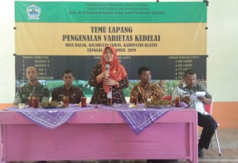 Babinsa Cawas Hadiri Temu Lapang Pengenalan Varietas Kedelai
