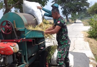 Babinsa Koramil 23 Ceper Berikan Pendampingan Khusus Pada Petani