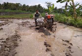 Babinsa Dampingi Petani Olah Sawah