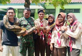 Pramuka Saka Wira Kartika Brebes Pelajari Berbagai Tips Menangkap Ular Berbisa