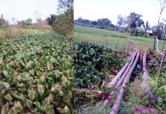 Saluran Irigasi Cot Gut