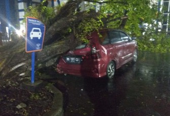 Pohon tumbang menimpa mobil di parkiran RSHD Kota Bengkulu
