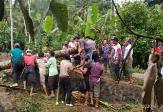Polsek Pugung dan Uspika Pasang Jembatan Darurat Penghubung 3 Dusun