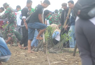 Sadar pentingnya ekosistem berbagai komunitas ikut tanam mangrove