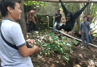 Polisi Amankan Hewan Dilindungi