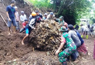 Rumpun Bambu di Linggapura Tonjong Brebes Tutup Akses Antar Pedesaan