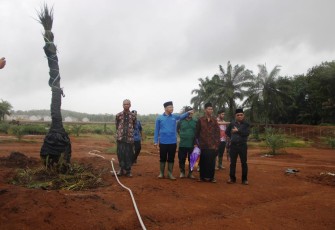 Gubernur Rohidin Apresisasi Keuletan Warga Kota Bengkulu Budidaya Tanaman Kurma