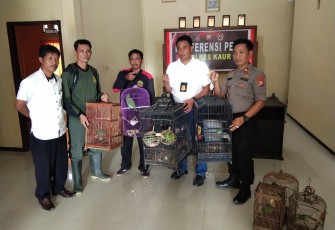 11 Ekor Burung Dilindungi Diamankan Polisi