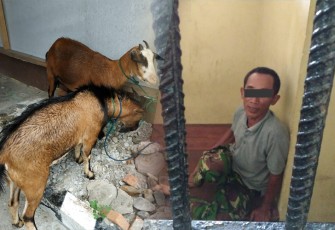 Pelaku dan Barang Bukti Diamankan