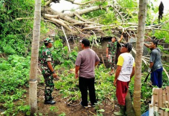 Koramil 1310-02/Lembeh Sigap Evakuasi Pohon Tumbang yang Menimpa Rumah Warga
