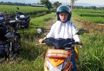 Fani (17)
