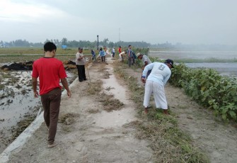 Gotong Royong Massal