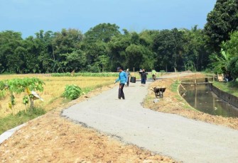Panas Cuaca di Pantirejo Pekalongan Mempercepat Pengaspalan Jalan