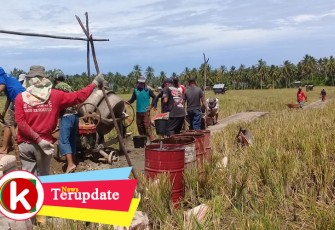 DD 40 Persen Kemang Manis Kaur Tengah Bangun Rabat Beton