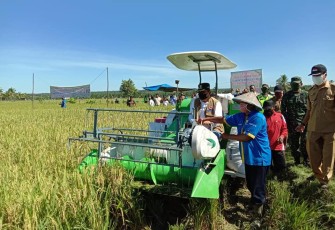 Bupati Bengkulu Utara Ir H Mian Ikuti Panen Raya Padi Desa Karya Jaya Kecamatan Marga Sakti Sebelat
