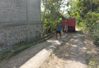 Karang Taruna Desa Ngepoh Bantu Turunkan Bambu
