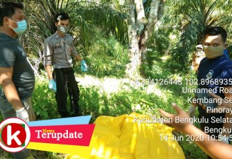 Polisi saat Evakuasi Jasad Perempuan Terjepit Pohon Nangka di Bengkulu Selatan