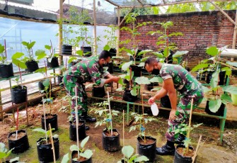 Pemanfaatan Lahan Kosong Untuk MKRPL