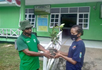 Puskesmas Ayamaru Timur dan Cabang Dinas Kehutanan Wilayah VIII Maybrat Lakukan Penanaman Pohon