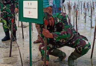 Dandim 0315/Bintan Ikut Tanam Bibit Magrove di Pantai Trikora V Kabupaten Bintan
