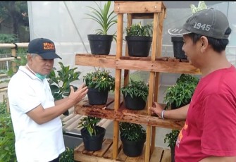 Kelompok Pemuda Tani Desa Benteng Purwakarta Bangun Rumah Bibit Semi Agrowisata