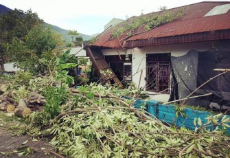 Pohon Tumbang Timpa Rumah Warga 