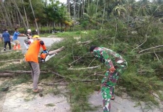 Tanggap Darurat Bencana BPBD Selayar Lakukan Pembersihan Pohon Tumbang 