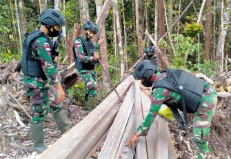Satgas Pamtas Yonif 407/Padma Kusuma, menemukan sekaligus mengamankan puluhan batang kayu yang diduga kuat hasil pembalakan liar di hutan lindung. Tepatnya berada di wilayah Kecamatan Ketungau Hulu.